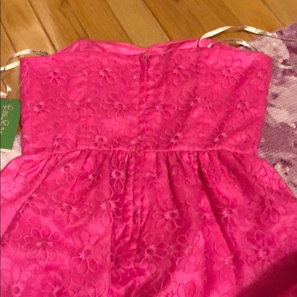 Lily Pulitzer Dress - Picture 4 of 4